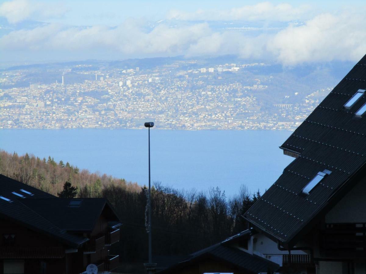 Chalet Le Télémark Thollon-les-Mémises Extérieur photo